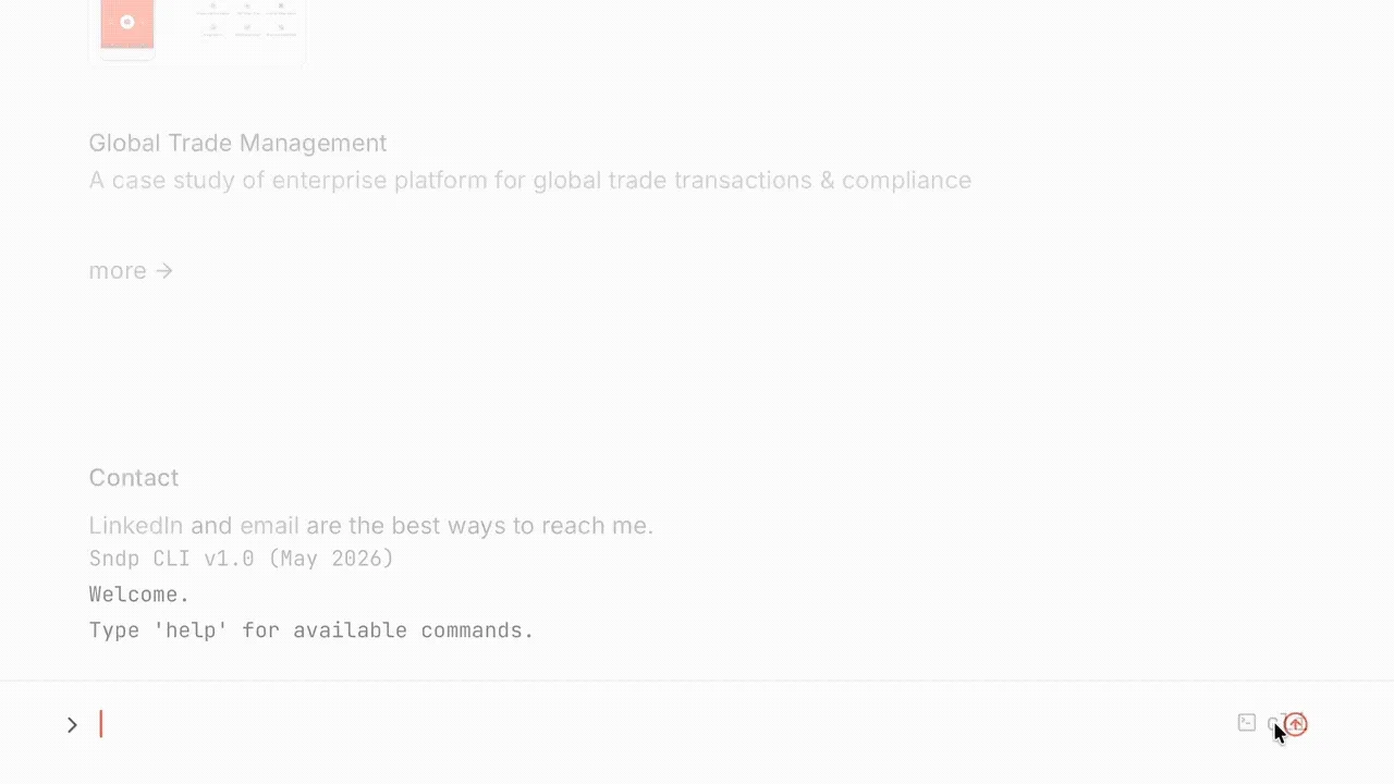 CLI terminal demo